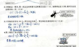 初一上册数学期中试卷